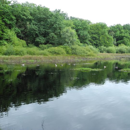 Bennhäuser Teich und Rothbalzer Teich bei Immenhausen