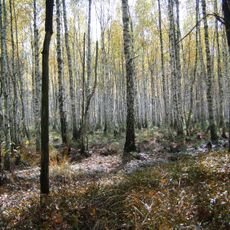 Myslovychi hydrological sanctuary