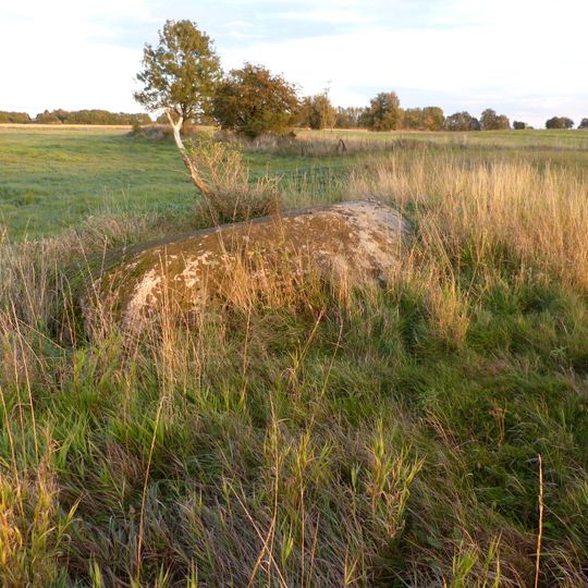 Findling Neu Dargelin