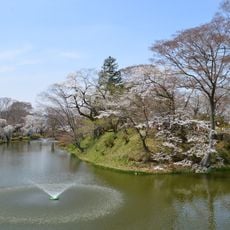 Tanagura Castle