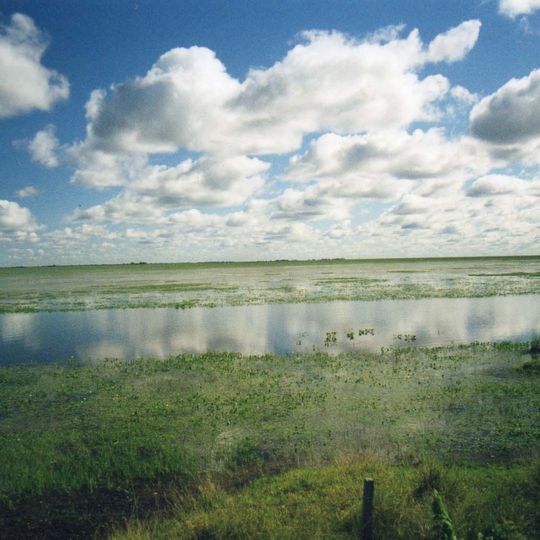 Llanos