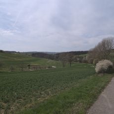 LSG Blieskastel (alter Landkreis Homburg, Bereich XI)