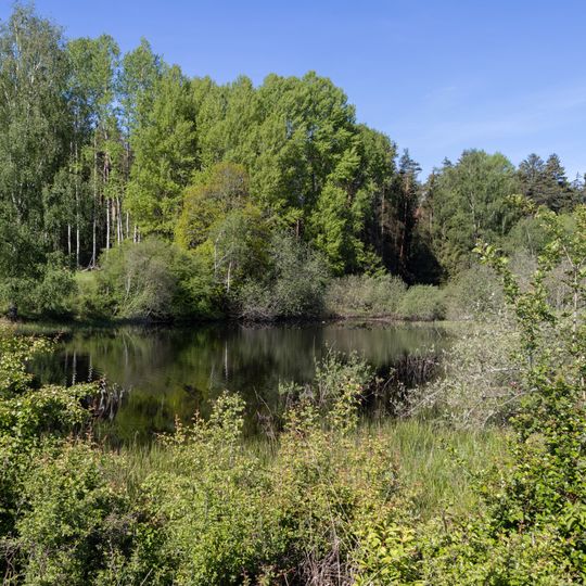 Östlicher Vogelherd im Veldensteiner Forst