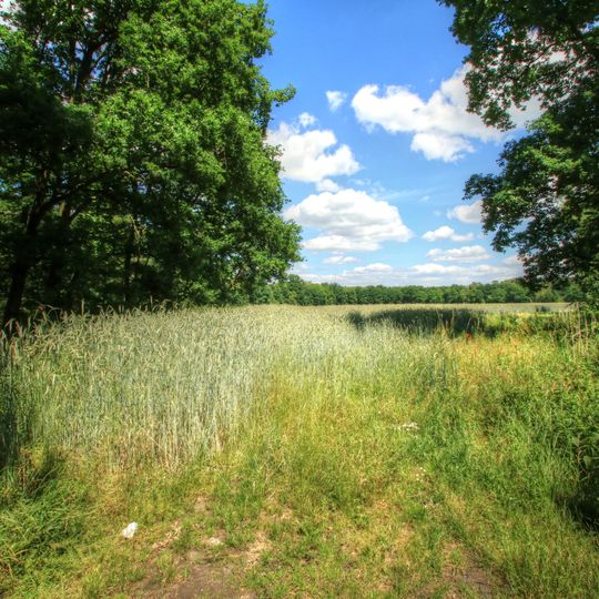 Osterwalder Moorgeest