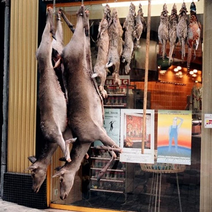 Marché aux Légumes