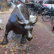 Charging bull