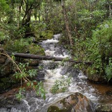 Iguaque Fauna and Flora Sanctuary