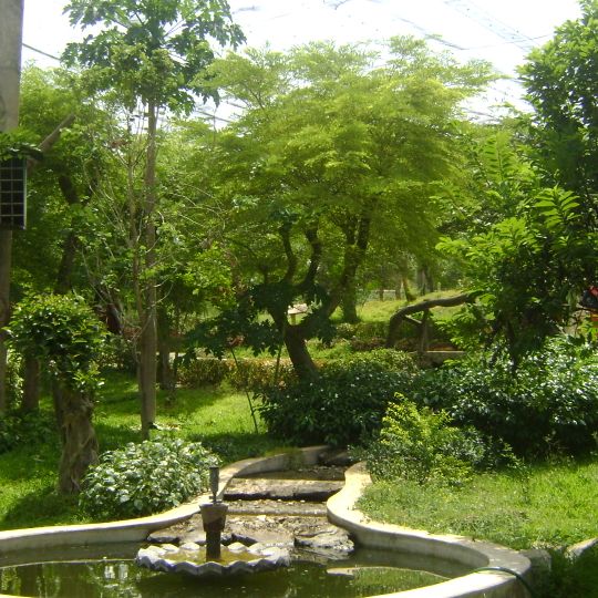 Arignar Anna Zoological Park