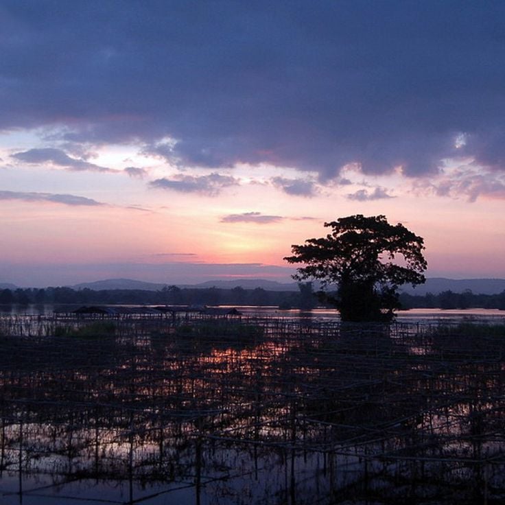 Jezioro Czerwonych Kwiatów Lotosu
