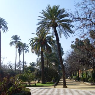 Giardini di Murillo