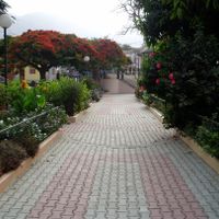 contea di Ribeira Brava