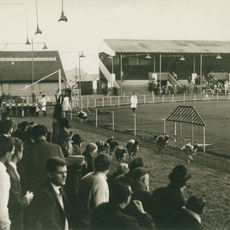 Park Royal Stadium