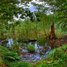 Heath marshes with marginal meadows near Waldau