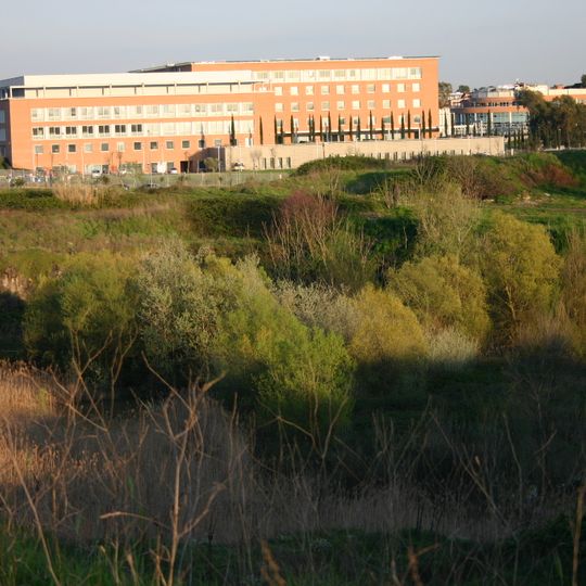 Campus Bio Medico University of Rome