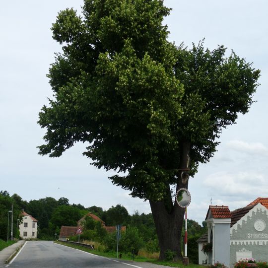 Lípa v Nedabyli