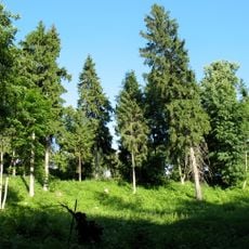 Erumäe linnamägi