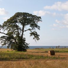 Strantes–Ulmales stāvkrasts