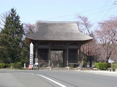 Entrada 1