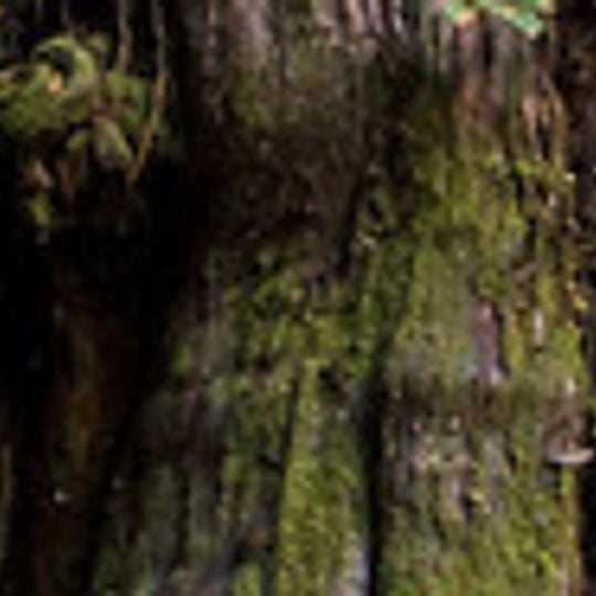 Port Renfrew