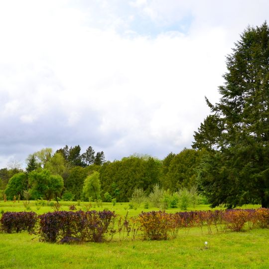 Meschersky Arboretum