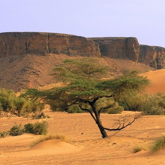 Adrar Plateau