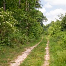 LSG Herforder Bergland