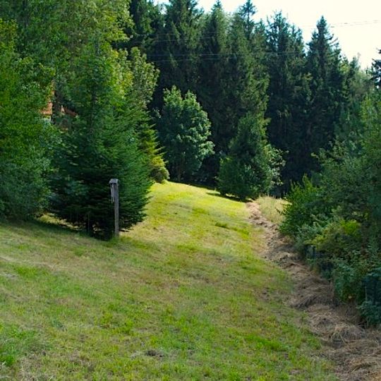 Enzianwiese in Eidenberg