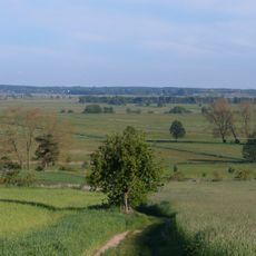 Thurbruch