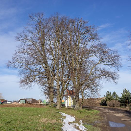 Lípy u kaple