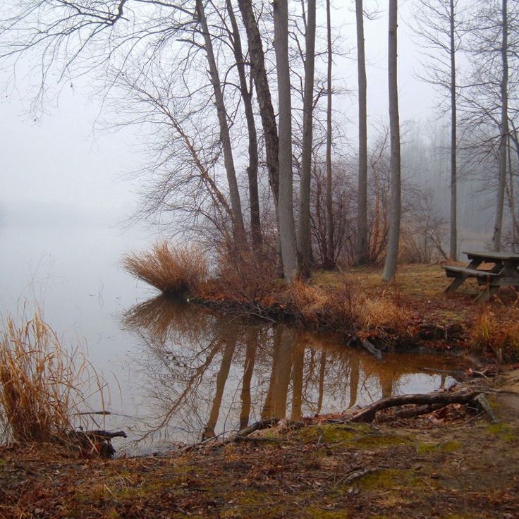 Parque Estatal Lums Pond