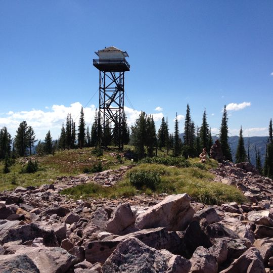 Mineral Peak Lookout