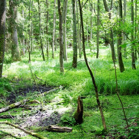 Ehemaliger Standortübungsplatz Aschaffenburg und Altenbachgrund