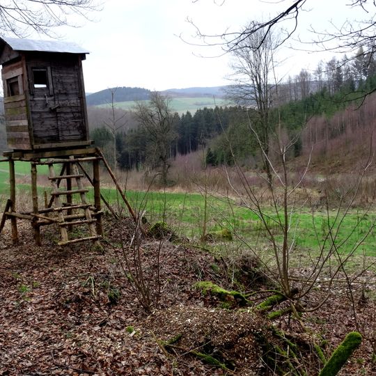 LSG-Talraum der Surbecke suedlich Heinrichsthal