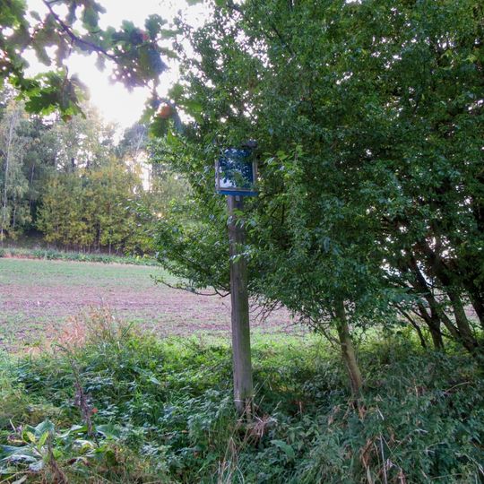 Obrázek v Sudkově vedle úvozu