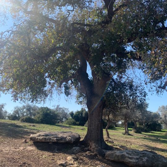 הר חורשן מפגש שבילים מתחת לחרבת טאטא. מקום יפה לקפה