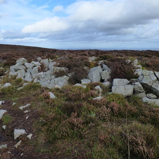 Tor cairn on Stiperstones, 130m SSE of Manstone Rock.