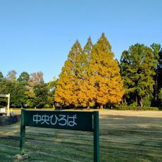県民公園新港の森