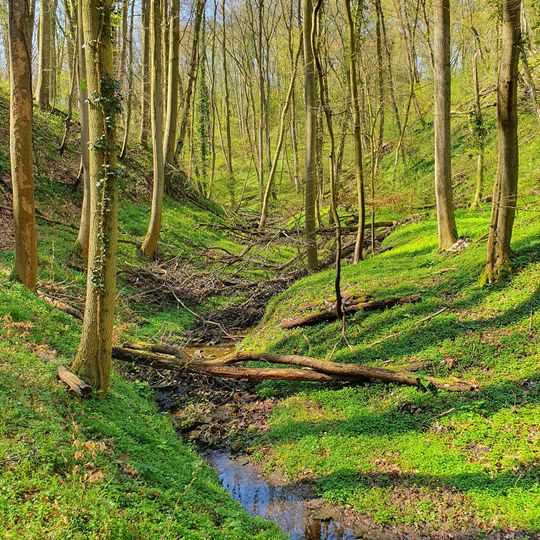 Dielzchenbachschlucht