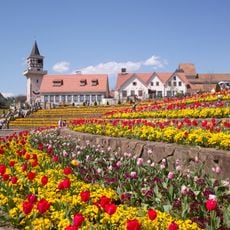 Heidi's Village