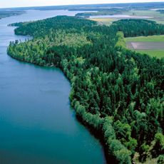 Björn Järnsidas hög