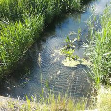 Szamotuly-Galowo observatory