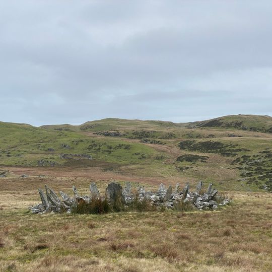Bryn Cader Faner