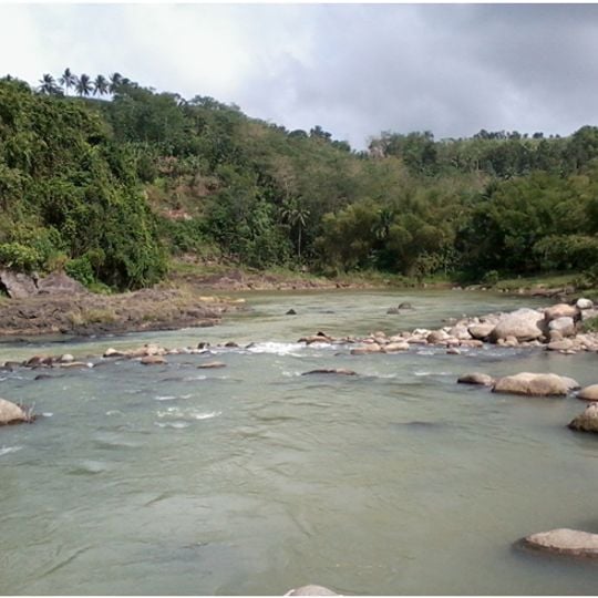 Parque natural del norte de Negros