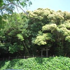 Urado Castle