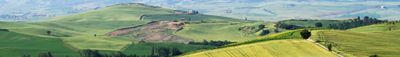 Panoramic View 0