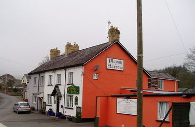 Immagine alternativa