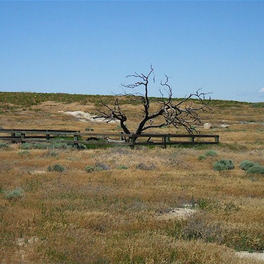 Wells Springs Segment