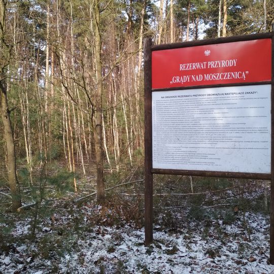 Rezerwat przyrody Grądy nad Moszczenicą