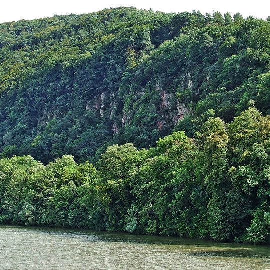 Neckartal I - Kleiner Odenwald