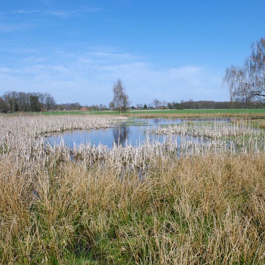 Kammmolch-Biotop Mührgehege/Oetzendorf